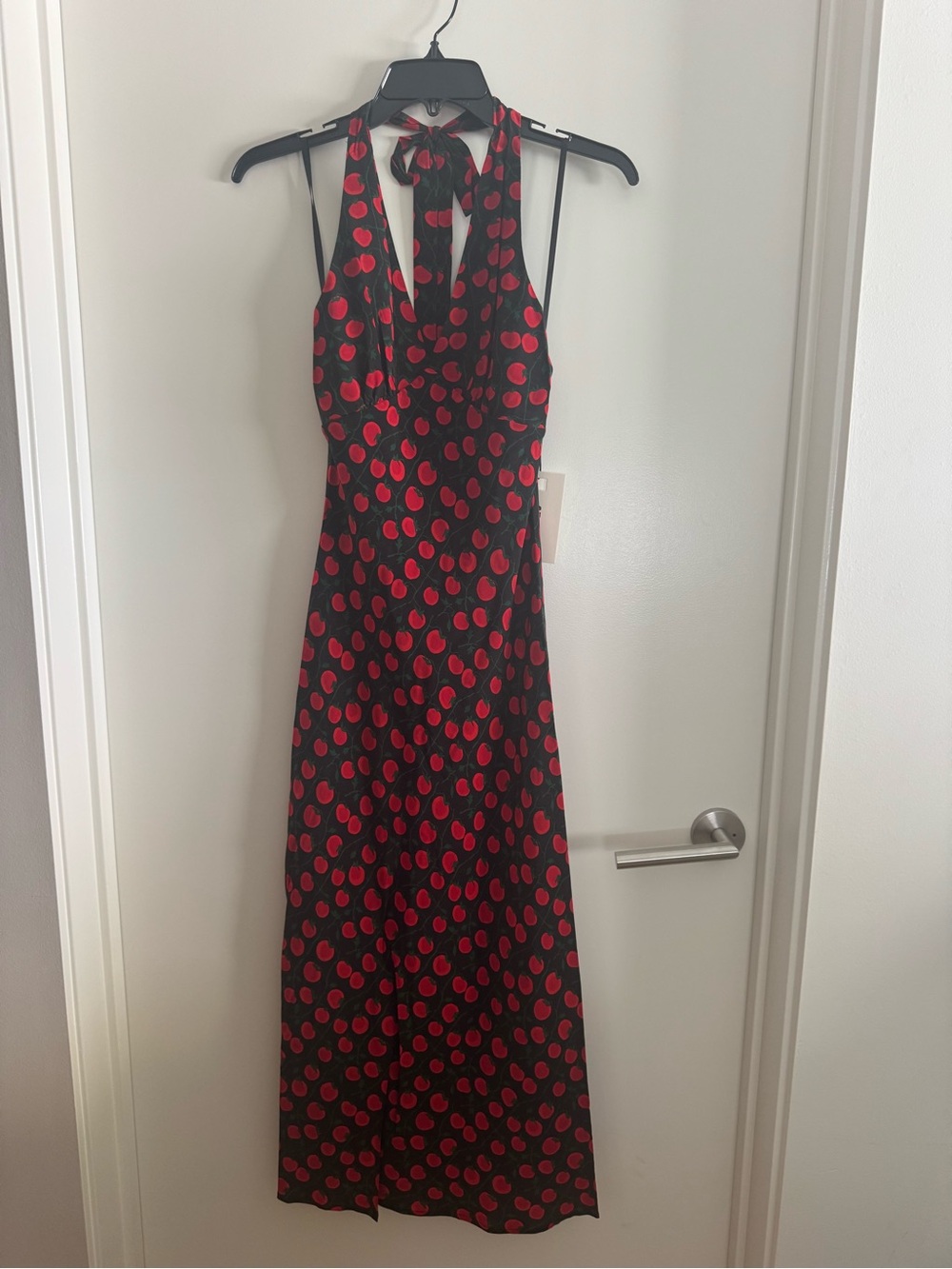 Staid Tie-Neck Black CrepeMaxi Dress with red tomato print